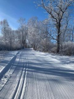 Ski Trails