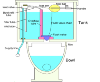 Diagram of toilet flush mechanics