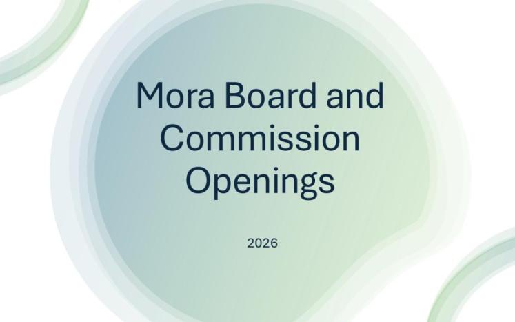 board and commission openings