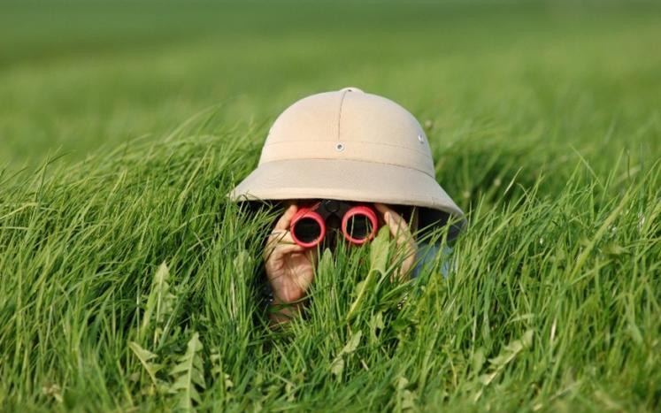 photo of child hiding in grass