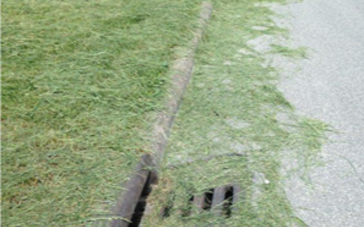 Grass clippings in the street. 